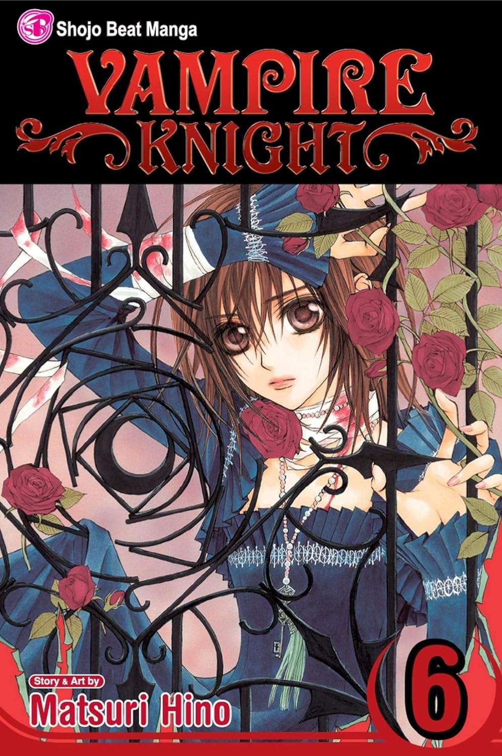 Vampire Knight, Vol. 06
