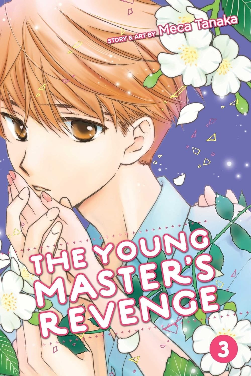 The Young Master's Revenge, Vol. 03