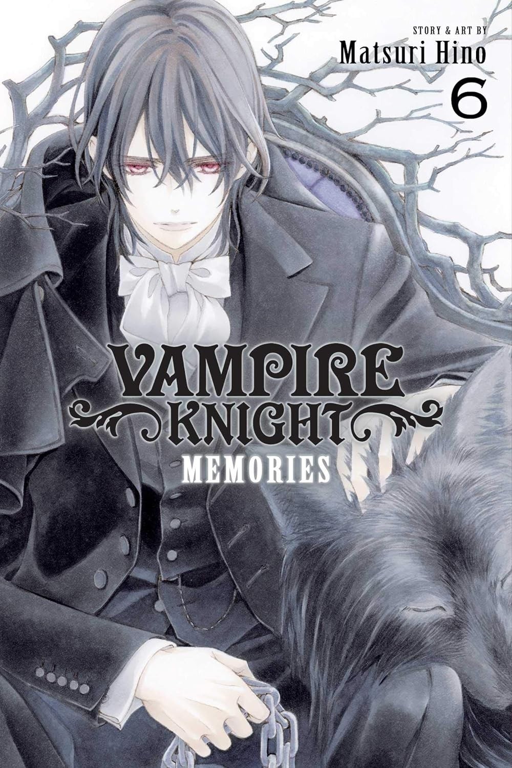 Vampire Knight: Memories, Vol. 06