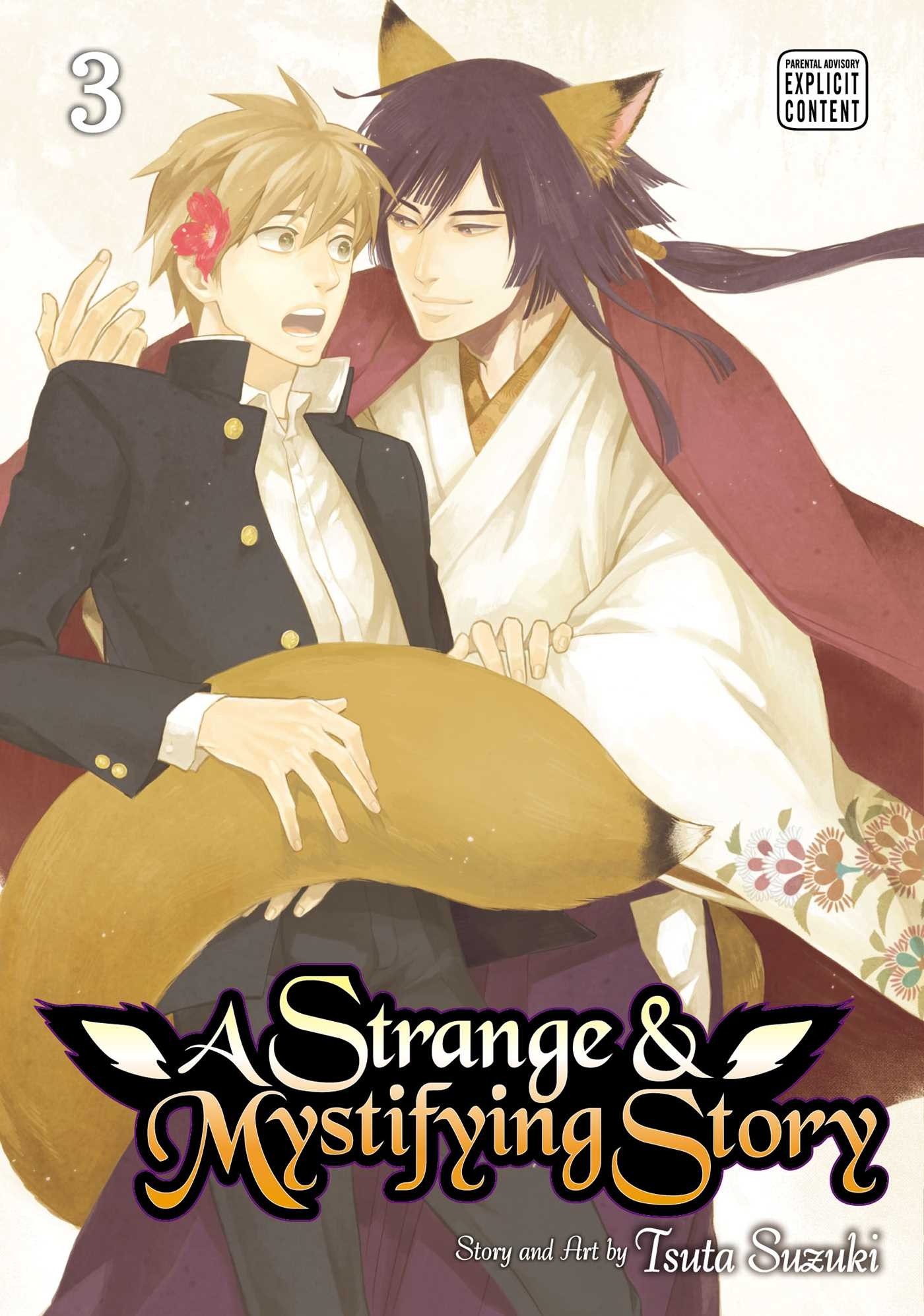 A Strange & Mystifying Story, Vol. 03