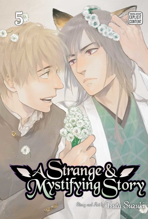 A Strange & Mystifying Story, Vol. 05