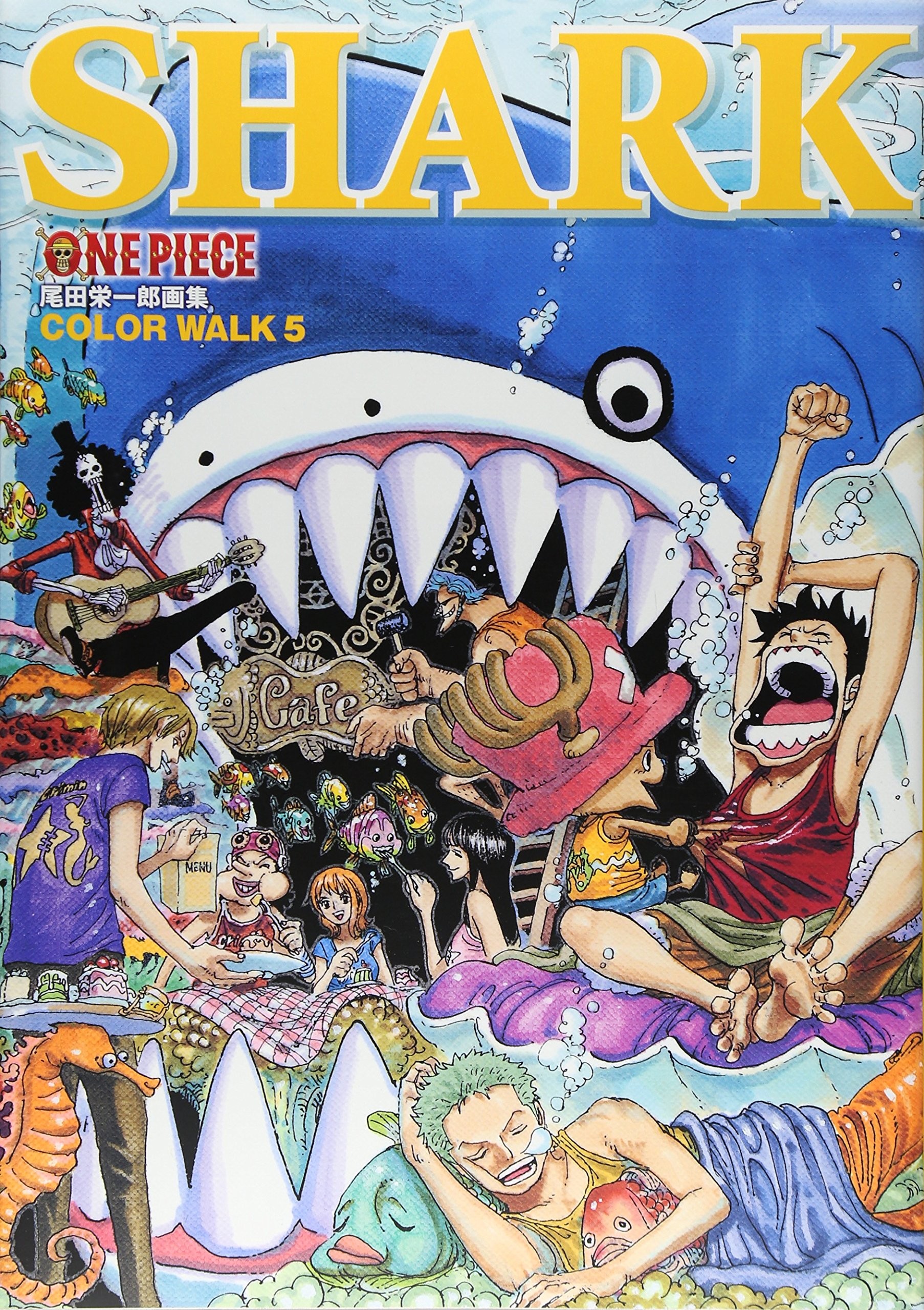 One Piece Illustration Book Color Walk 5 Japanese Import