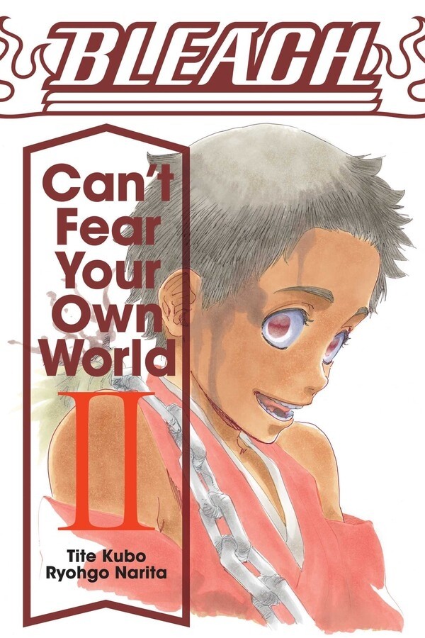Bleach: Can't Fear Your Own World, Vol. 02 (Light Novel)