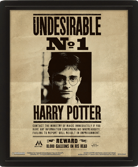 Harry Potter (Potter / Sirius) 3D Lenticular Poster 