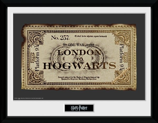 Harry Potter Collector Framed Print Hogwarts Ticket