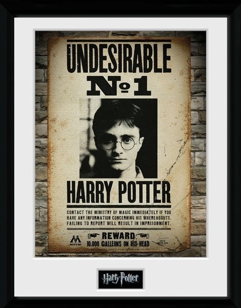 Harry Potter Collector Framed Print Undesirable No 1