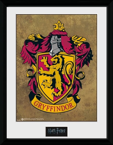 Harry Potter Collector Framed Print Gryffindor