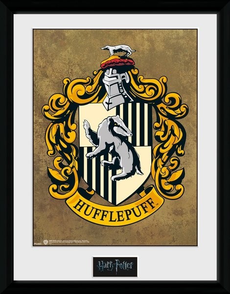 Harry Potter Collector Framed Print Hufflepuff