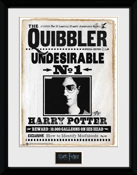 Harry Potter Collector Framed Print Quibler