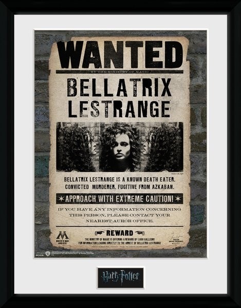 Harry Potter Collector Framed Print Bellatrix