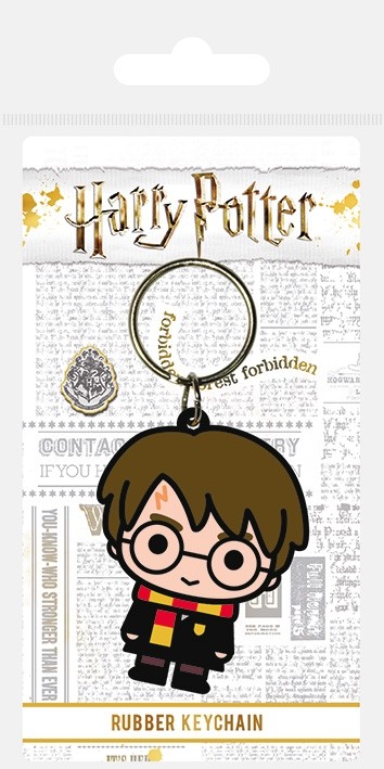 Harry Potter Keychain Harry Potter