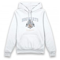 Harry Potter Hogwarts Team Quidditch Adults Hoodie Small