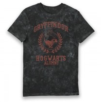 Harry Potter Gryffindor Hogwarts Alumni Vintage Style Adults T-shirt Medium