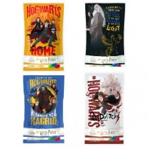  Harry Potter Jelly Beans ‘GOOD’ Flavour Mix Bag 28g (one bag / character chosen at random)