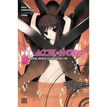 Accel World, (Light Novel) Vol. 06