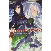 Accel World, (Light Novel) Vol. 22