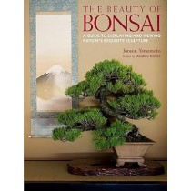 The Beauty of Bonsai: A Guide to Displaying and Viewing Nature's Exquisite Sculpture