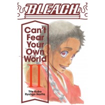 Bleach: Can't Fear Your Own World, Vol. 02 (Light Novel)