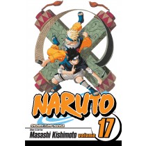 Naruto, Vol. 17 
