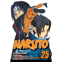 Naruto, Vol. 25  