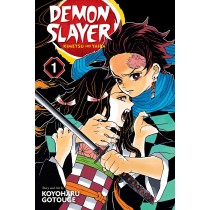 Demon Slayer: Kimetsu no Yaiba, Vol. 01