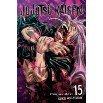 Jujutsu Kaisen, Vol. 15