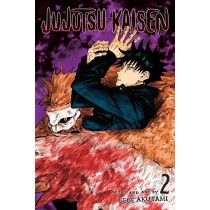 Jujutsu Kaisen, Vol. 02