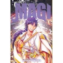 Magi: The Labyrinth of Magic, Vol. 29