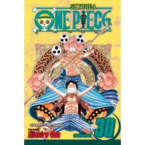 One Piece, Vol. 30  