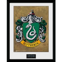 Harry Potter Collector Framed Print Slytherin
