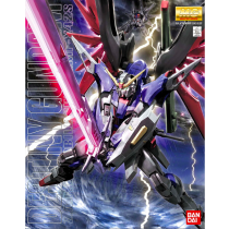 MG DESTINY GUNDAM 1/100 - GUNPLA