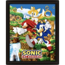 Sonic The Hedgehog - 3D Lenticular Poster - Catching Rings