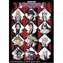 Bleach - Shinigami Captains - Sticker Set