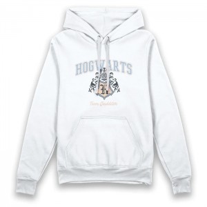 Harry Potter Hogwarts Team Quidditch Adults Hoodie Large