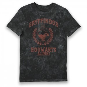 Harry Potter Gryffindor Hogwarts Alumni Vintage Style Adults T-shirt Small