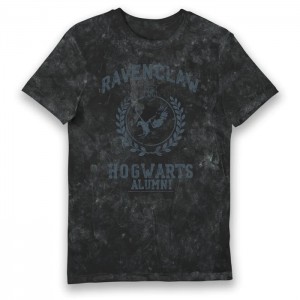 Harry Potter Ravenclaw Hogwarts Alumni Vintage Style Adults T-shirt Medium