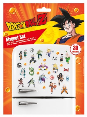 Dragon Ball Z Fighters Magnet Set