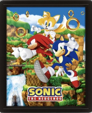 Sonic The Hedgehog - 3D Lenticular Poster - Catching Rings