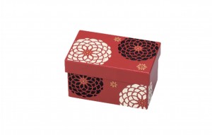 Hakoya Ojyu Rectangle Two Tier Bento Box | Red