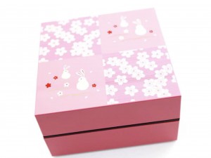Showa Sakura Hanami Picnic Bento Box